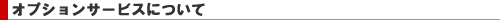 1-man.net�����^���T�[�o�[�̃I�v�V�����T�[�r�X�ɂ���