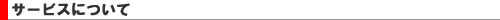 1-man.net�����^���T�[�o�[�̃T�[�r�X�ɂ���
